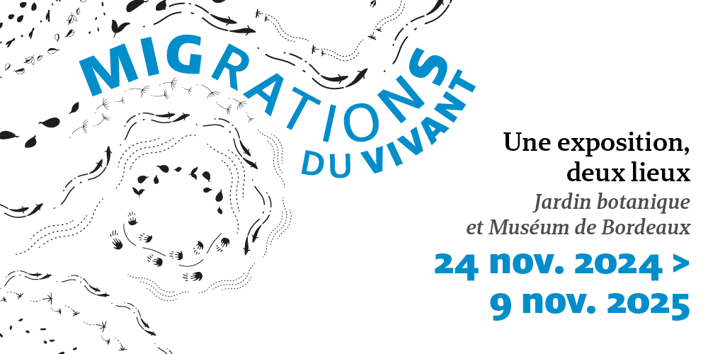 photo du musée
